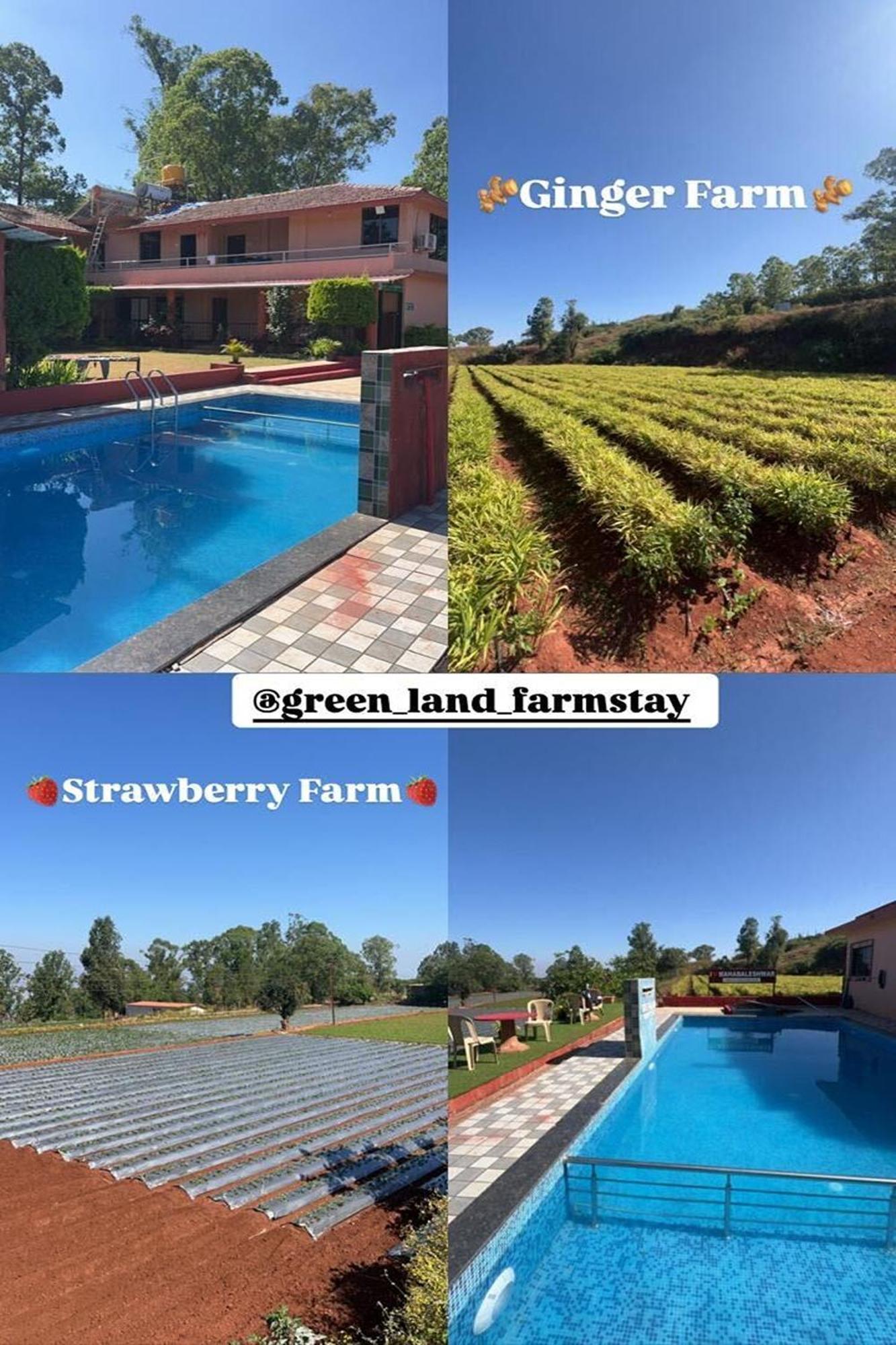 Greenland Stay Mahabaleshwar Bagian luar foto